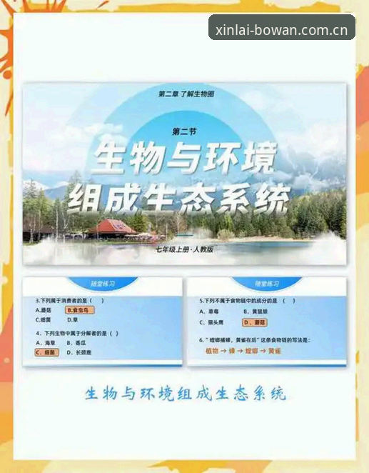 博万官方正版安装步骤 博万官方平台2025生态观察:正版安装路径的合规性与技术逻辑深度解析